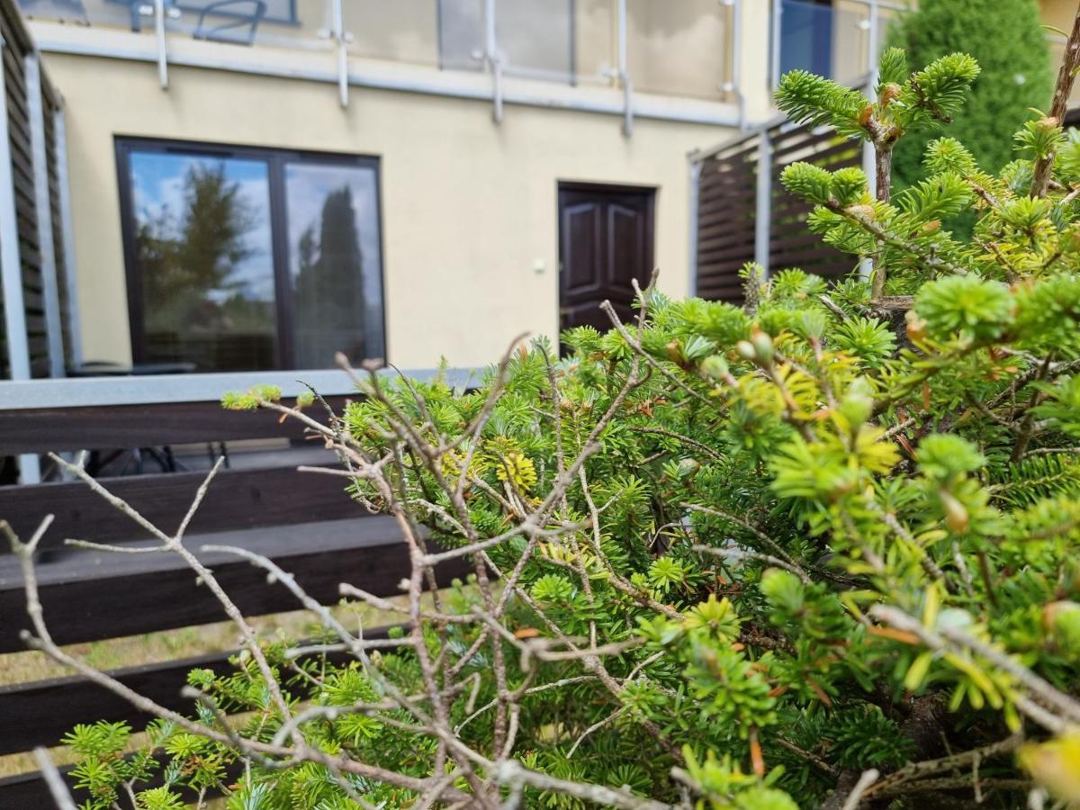 סרבינובו Apartamenty Poludniowe - 365Pam מראה חיצוני תמונה